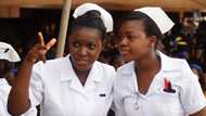 Functions and powers of Nursing and Midwifery Council of Nigeria