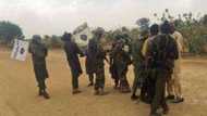 Rashin tausayi: Boko Haram sunyi wa mutane 7 yankan rago a kan neman itace
