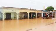 Floods: Panic as dead bodies now float in Bayelsa, Delta cemeteries