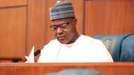 Alleged plot to kill APC's Dogara: Police finally make big arrest, revelation
