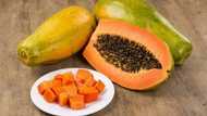 Top benefits of papaya for weight loss and beauty