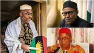 Kanu is saying that Igbo want to go, if you don’t agree with him, put it to plebiscite - Ex-Minister