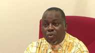 Electoral Amendment Bill: Lawmaker says over 73 senators ready to override Buhari’s veto