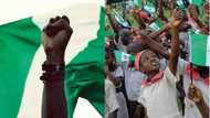 Who wrote the Nigerian national anthem and pledge? All the details