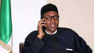 Abinda shugaba Buhari ya tattauna da sakataren kasar Amurka a hirar wayar tarho - Garba Shehu
