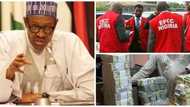 President Buhari sends warning to looters, vows total war