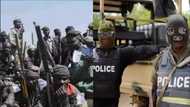 Police arrest driver who buys food, fuel for Boko Haram