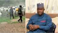 10 people killed, millions of goods destroyed as suspected herdsmen allegedly storm villages in Kogi