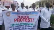 Breaking: Resident Doctors Begin Indefinite strike April 1