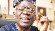 Femi Falana's ☞ biography and achievements