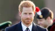 Royal wedding: Its Harry’s big day; here are 30 interesting facts about the red-haired Prince of Wales