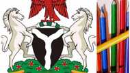 Who designed the Nigerian coat of arms?