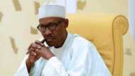 Pray for Buhari; stop complaining - CAC leader tells Christians