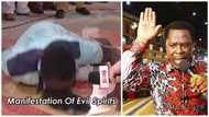 Unbelievable! Man turns to 'bush dog' at TB Joshua's church (photo, video)