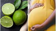 Effect of lime on early and late pregnancy: Top health benefits and side effects