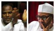 It will be a tragic mistake to treat Nnamdi Kanu like a common criminal - Col. Umar sends message to Buhari