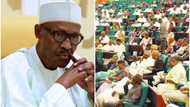 Da Duminsa: Ka gaggauta ayyana yan fashin daji a matsayin yan ta'adda, Majalisar wakilai ga Shugaba Buhari
