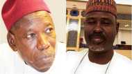 Dalilin da yasa Ganduje ke min bita da kulli - Bibi Farouk