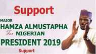 SEE Al-Mustapha's 2019 presidential election campaign poster