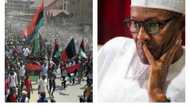 Biafra: Presidency expresses fear over threats from IPOB, MASSOB