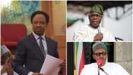 APC senator backs Obasanjo, asks Buhari to obey former president’s advice