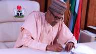 FG takes bold step to reform policies for inclusive education, inaugurates committee