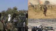 Army kills 3 Boko Haram bombers in Adamawa