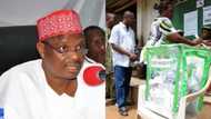 There was fraud in Kano poll because only one party contested - Kwankwaso