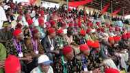 Ohanaeze Ndigbo urges President Buhari to apologise to Igbos over comment on Gowon's leniency
