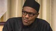 Forget about oil in the Niger Delta - Ijaw group warns Buhari