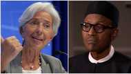 IMF worries over Nigeria’s ability to repay debts, offers solution
