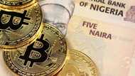 Abubuwan da mu ka ga gani, mu ka yi maza, mu ka hana mu’amalar ‘Cryptocurrencies’ – CBN