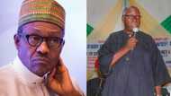 Presidency not saying the truth about Buhari's health - Ohanaeze chieftain