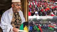 Igbo will not vacate north despite quit notice threat - Nnamdi Kanu declares