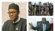 'Buhari’s justification for Boko Haram’s defeat is meaningless when economy is sick'