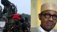 Niger Delta youths give FG condition for peace ahead of Osinbajo’s visit
