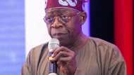 Tenure elongation: We fought hard for congress, we got it - Tinubu