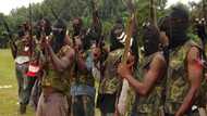 FG takes serious action as company steals money meant to train ex-Niger Delta militants