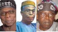 'He's A Tragedy To The Yoruba People': Obasanjo, Tinubu Attacked Like Never Before