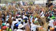 APC delegates fume, demand Abdullahi Adamu’s resignation