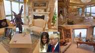 Inside Donald Trump's $100 million penthouse: prepare your jaws to drop! (photos)