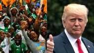 Report shows Nigeria has 5th highest share of Trump followers on Twitter