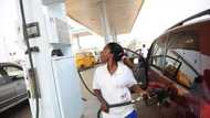 N1,000/litre: Fuel crisis hits Nigerian border communities as petrol prices skyrocket