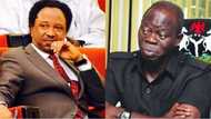 Tinubu's attempts to reconcile members of APC was simply naturalised, abandoned - Shehu Sani opens up