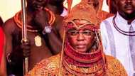 Bandits, criminal herdsmen hiding in Edo forests - Oba of Benin raises alarm