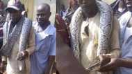 Python killed in popular Abuja market (photos)