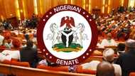 Full list of current Nigerian senators and their districts