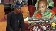 What Igbo people must do if they truly want to break away from Nigeria now - Lawmaker Makinde