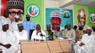 2019: Buhari in landslide victory as APC holds presidential primary across states of the federation (results)