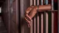 Court sentences 2 civil servants to 105 years imprisonment over fraud